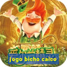 jogo bicho caico